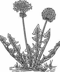 a treeblue dot in space